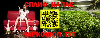 мяу мяу мука Ивантеевка