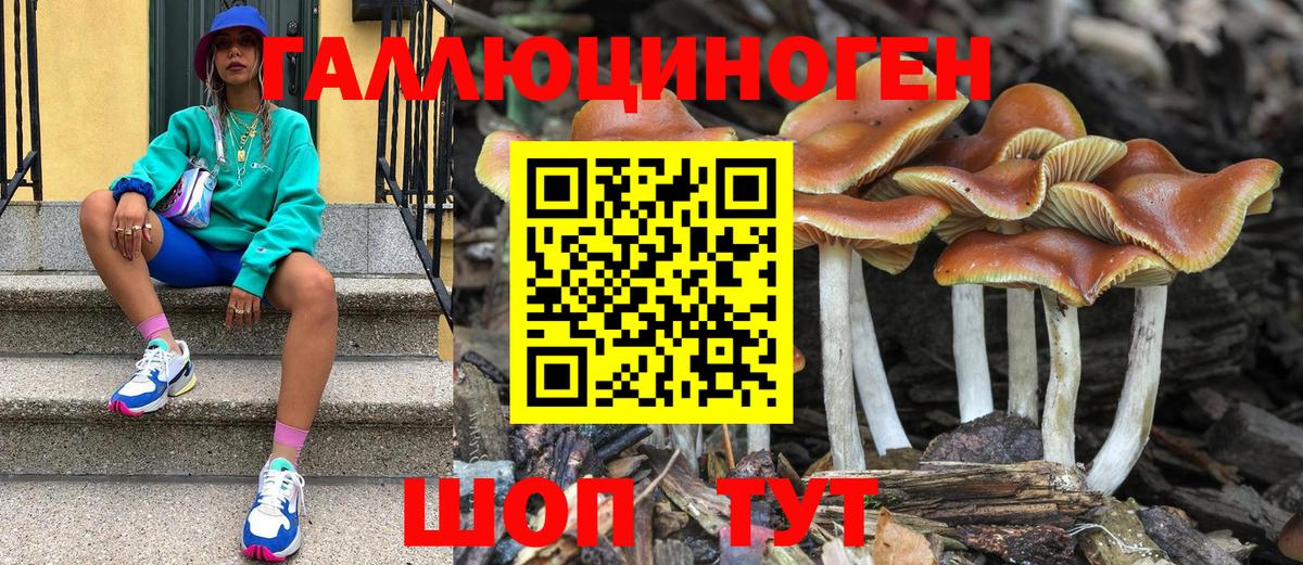 Псилоцибиновые грибы MAGIC MUSHROOMS  Вход с VPN  Вязники 